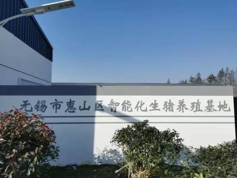 1618299702915931.jpg 4.jpg