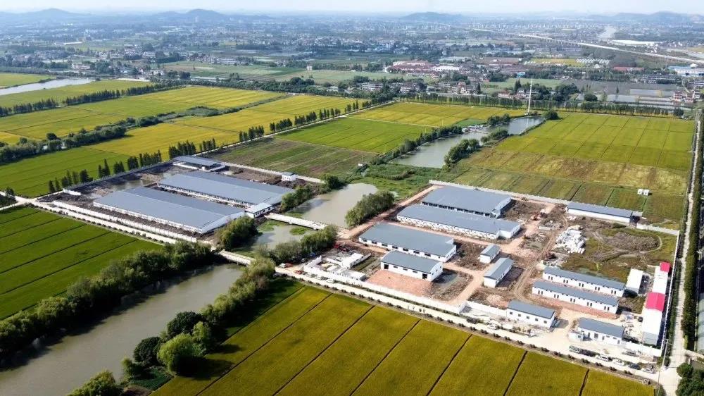 1618299721133389.jpg 5.jpg