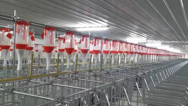 1618299735611051.jpg 1618299735611051.jpg